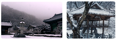 천은사 와 천은제